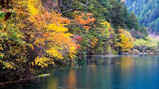 红色之旅 (十五) 四川九寨沟行