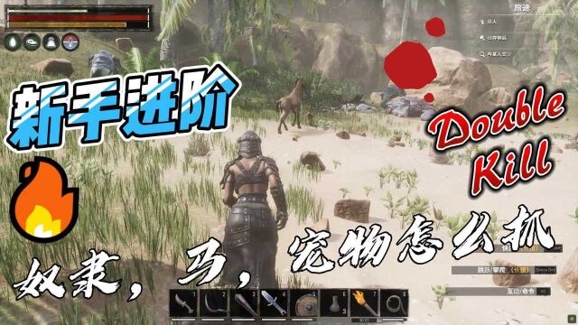 流放者柯南(Conan Exiles)你被劝退过吗?萌新第三期 奴隶宠物马