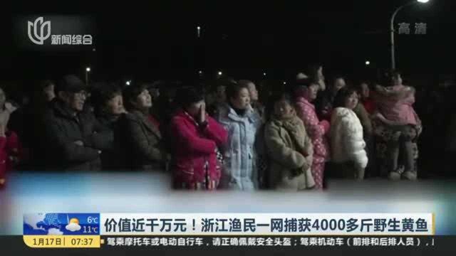 价值近千万元!浙江渔民一网捕获4000多斤野生黄鱼