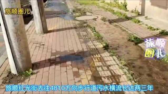 市民反映:旅顺这里污水横流,积水成冰……