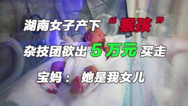 湖南女子产下“猴孩”,杂技团欲出5万元买走,宝妈:她是我女儿