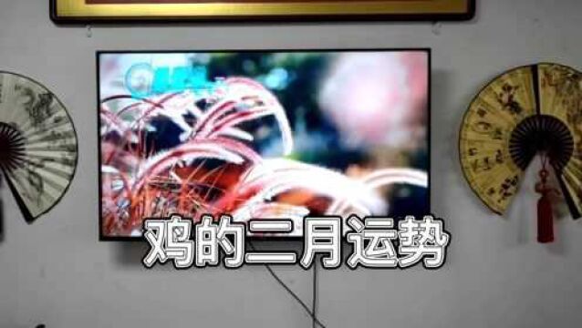 生肖鸡的2月运势,易云道说生肖运势的方方面面