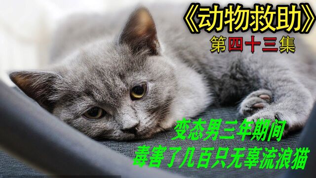 变态男三年期间毒害了几百只无辜流浪猫