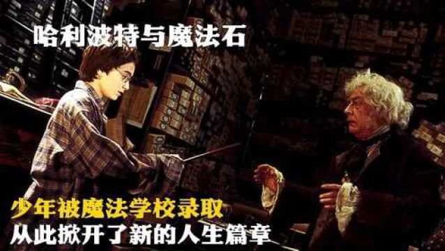 少年被魔法学院录取,从此掀开新的人生篇章,打开魔法世界大门