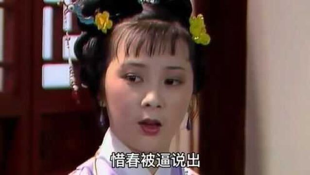 贾惜春为何执意要出家?从未生过病却有治不好的伤,让人心疼!