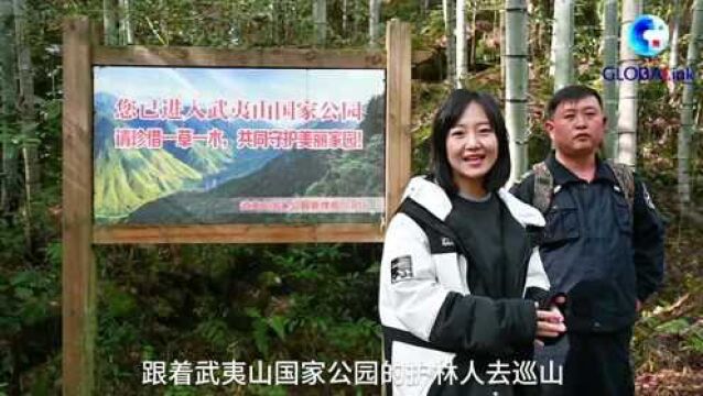 全球连线|世界文化和自然双遗产武夷山喊你来“巡山”