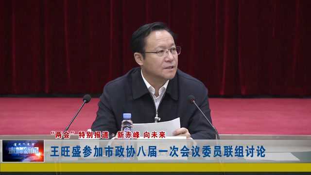 ►王旺盛参加市政协八届一次会议委员联组讨论