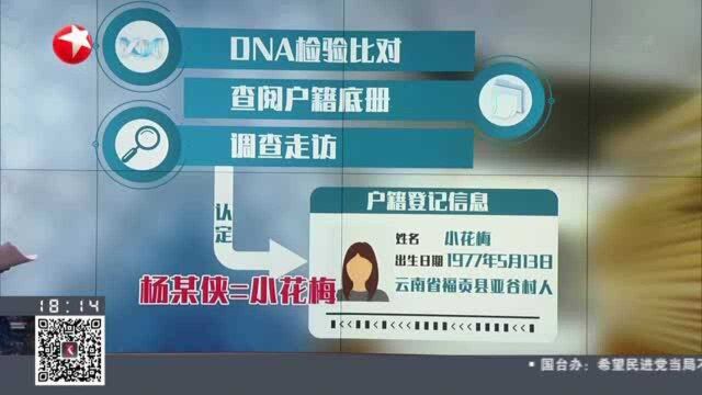 江苏省委省政府就丰县“八孩女子事件”发布调查报告