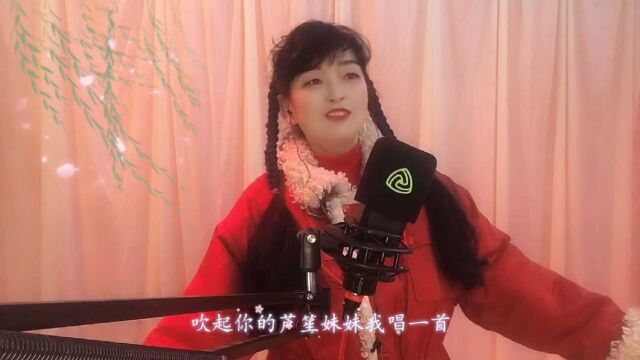 友凤一曲《花桥流水》超好听!绝对不一样的感觉!