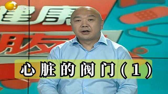 健康朋友圈:三段不同的心脏跳动声音,究竟有何含义