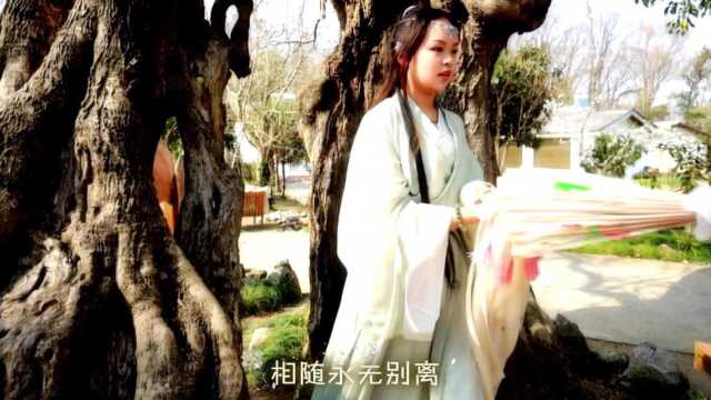 听闻远方有你【林子影视杉杉汉服MV】