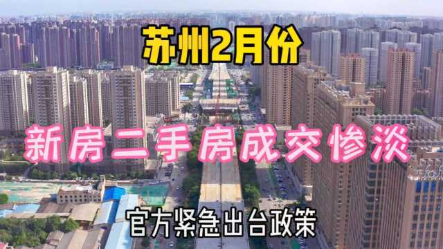 罕见!苏州楼市2月份成交量“腰斩”,官方紧急出台多项新政