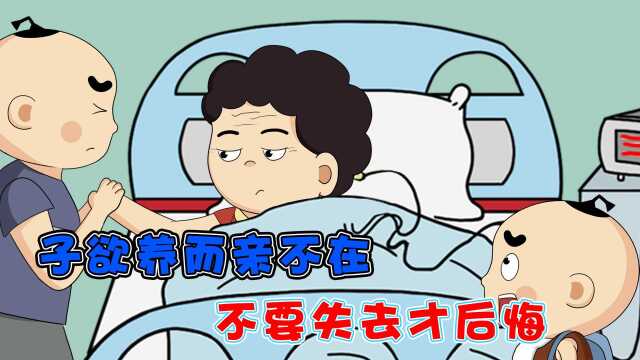 子欲养而亲不在,父母的唠叨其实也是种幸福