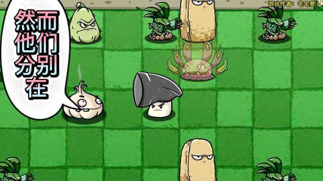 PVZ:美人樱使用禁术陷入昏迷!