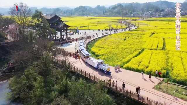 “嗨”在贵州ⷮŠ春暖花开 | 春天的田园油画 贵定金海雪山