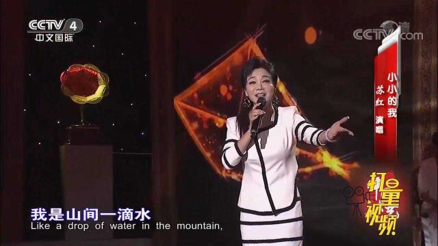 好听!苏红演唱歌曲《小小的我》,歌声深入人心