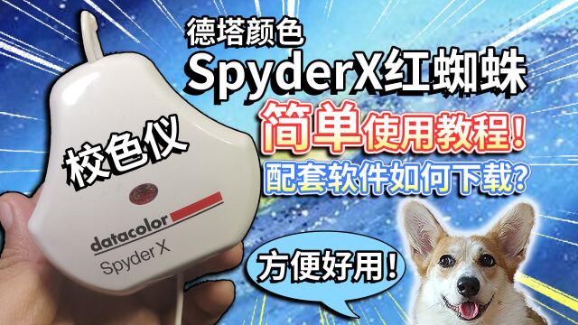 【校色仪】德塔颜色Spyder X使用教程!配套软件如何下载?