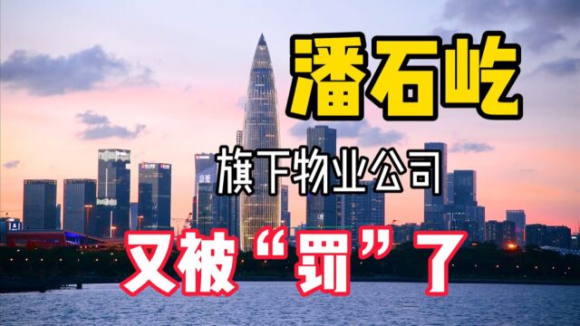 潘石屹旗下物业公司,因加价电费等违法行为被罚超1.15亿