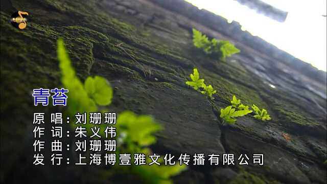 听见好音乐《青苔》词曲:朱义伟,制作人:蒋少华