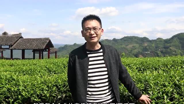 筠连县凤鸣茶业文总:希望通过茶企和政府的共同努力,让“筠茶”走向全国,走向全世界!