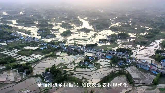 一大波美图来袭!专属于梁平的田园美景,静待你的打开~