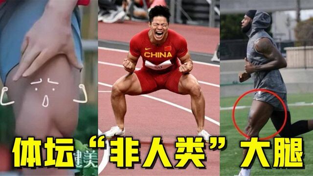 体坛五大“非人类”大腿:詹姆斯大腿如水桶,苏炳添大腿粗黑人一圈