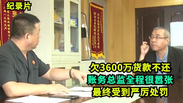 欠3600万不还,法官执行账务总监很嚣张:你管我饭吃,我就提供账目!最终受到严厉处罚!