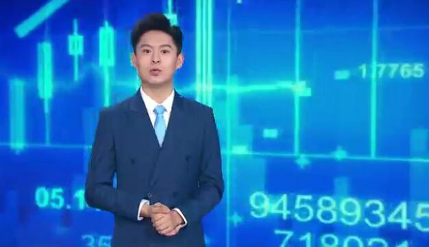 山东省广播电视台齐鲁频道“金财经”栏目《远离征信陷阱》