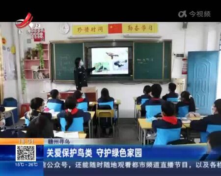 赣州寻乌:关爱保护鸟类 守护绿色家园