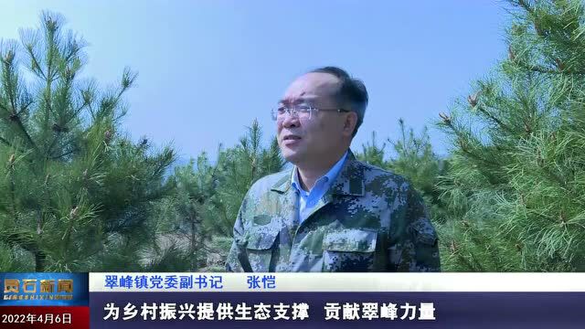 【乡镇动态】翠峰镇组织开展义务植树活动