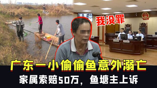 广东一小偷偷鱼意外溺亡,家属索赔50万,鱼塘主上诉:我没罪