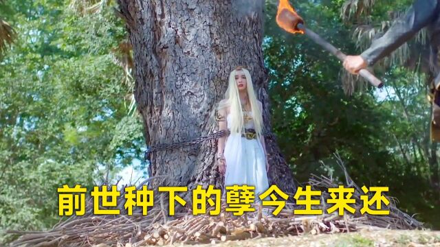 绝美蛇王被人抓住(6)