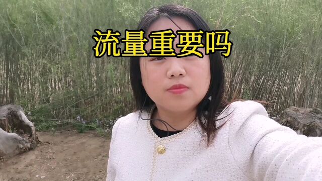 流量重要吗?代运营有没有必要招?