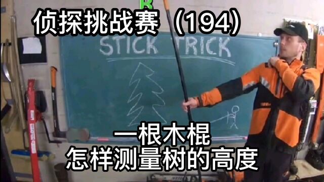 侦探挑战赛(194),一根木棍,怎样测量树的高度?