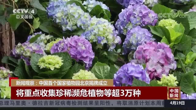 新闻观察:中国首个国家植物园北京揭牌成立