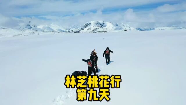 林芝桃花行第九天,纯净无瑕的雪山让今天的旅程格外的愉快