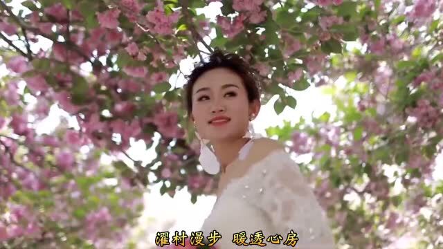 【醉美濯村】看樱花到哪里去?中国十大美丽乡村莱阳濯村十万株樱花盛放,等您来赏(内附导游攻略)