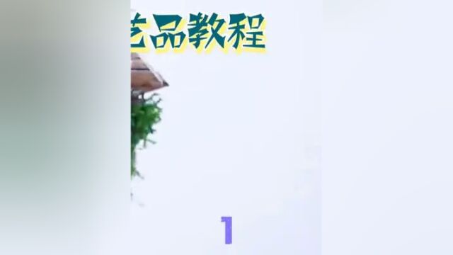 利用业余时间在家学造景 #原生造景 #鱼缸里的大自然 #水族