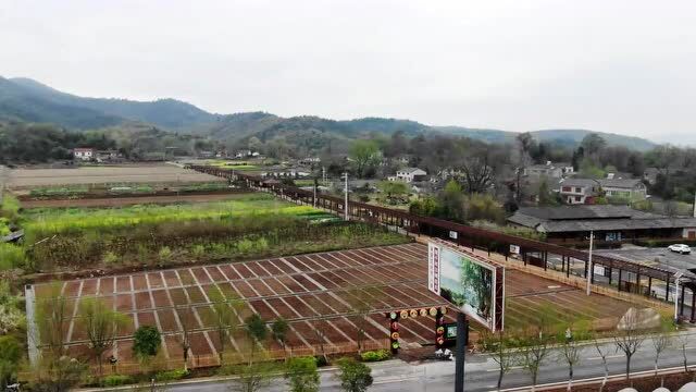 全域旅游看荆门|来钟祥,不远游也精彩