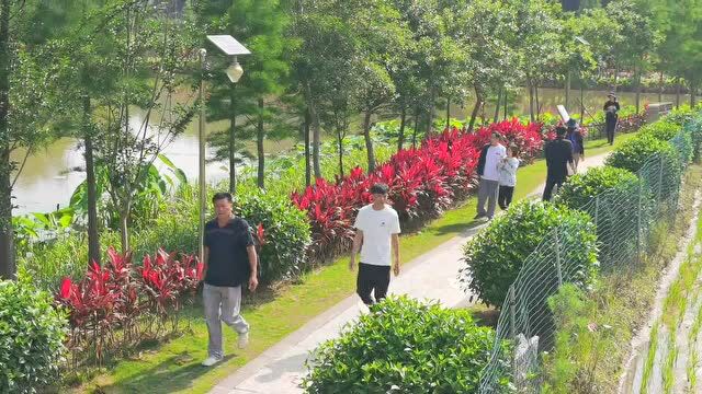 云浮人游云浮|户外公园成市民假期休闲好去处