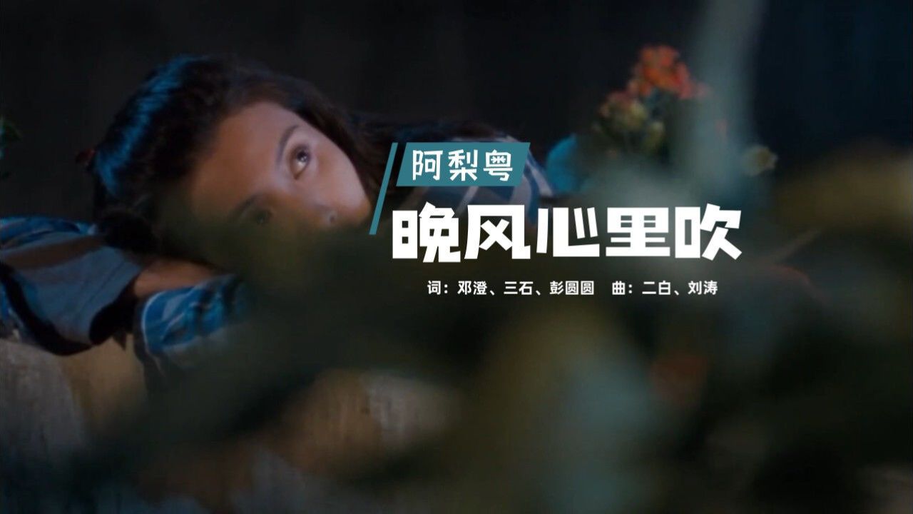 经典粤语歌曲,阿梨粤《晚风心里吹》,愿晚风心里吹吹散我的泪!