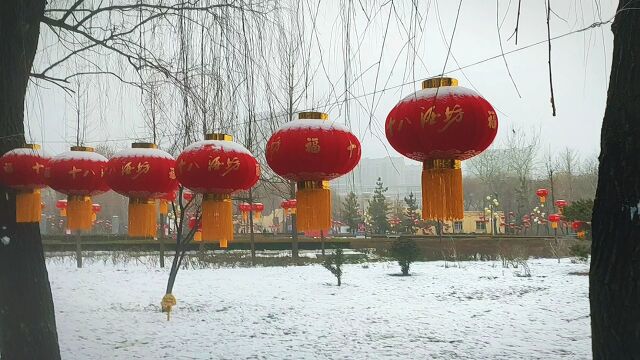 白雪披肩的红灯笼,正是瑞雪兆丰年的好彩头