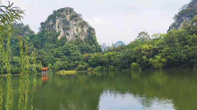 垂柳偎依着山水