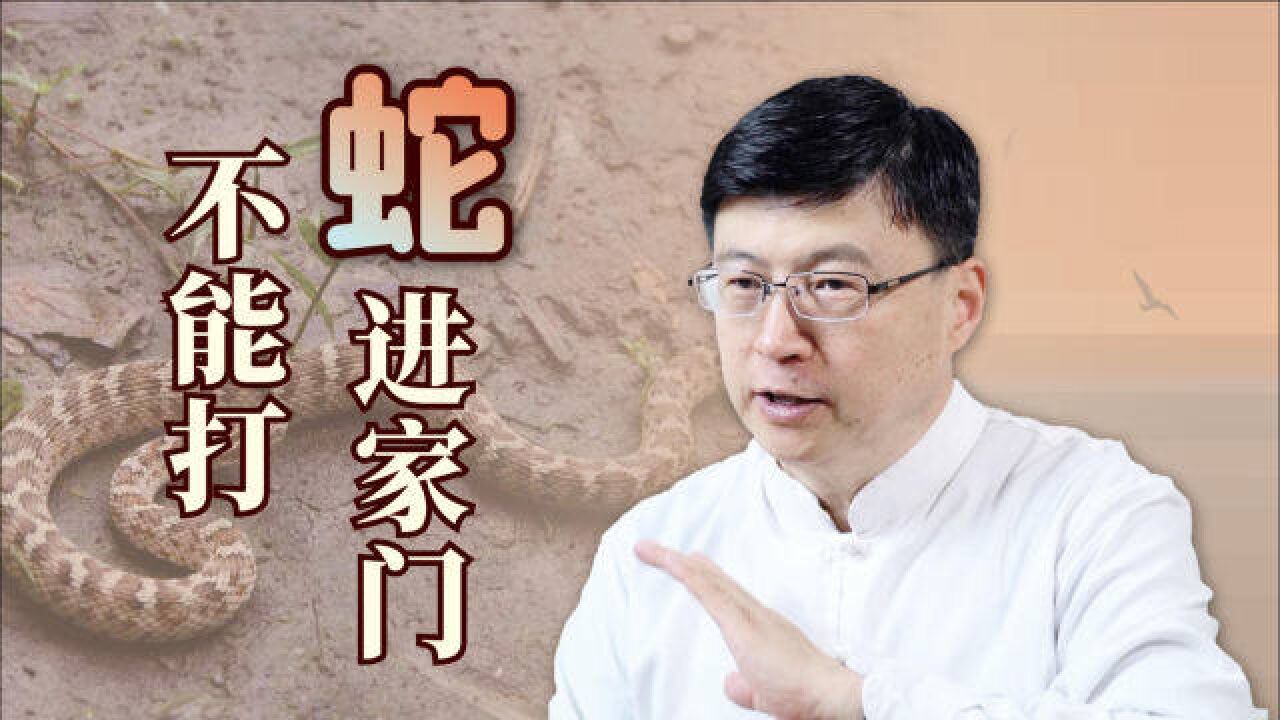 农村老家屋里进蛇,是好事还是坏事?为何老人们都不让打?