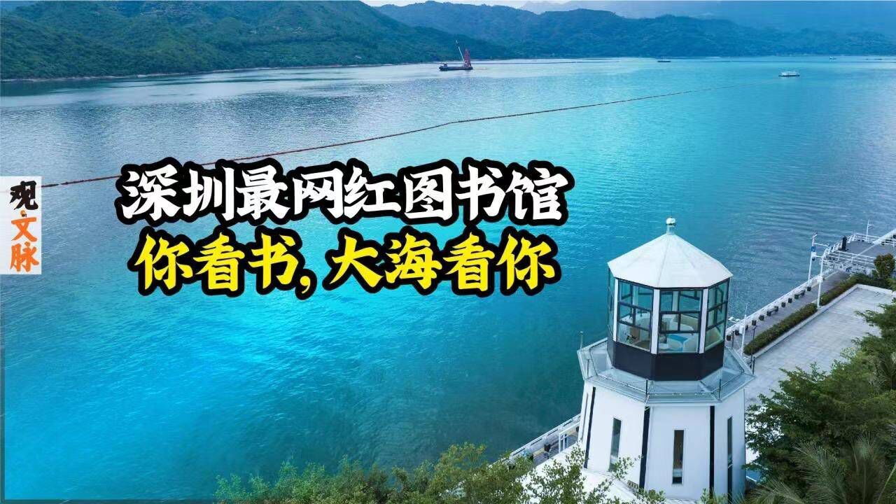 深圳最网红图书馆,你看书,大海看你|观文脉视频