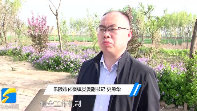 乐陵:“小积分”发挥大作用 “五级”联动解锁基层治理新模式