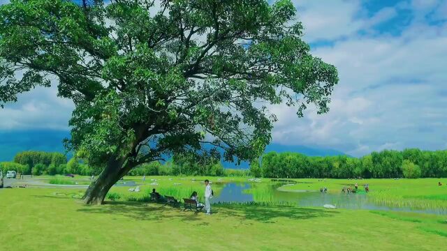 风景美景美女山水丽江大理洱海蓝天白云素材