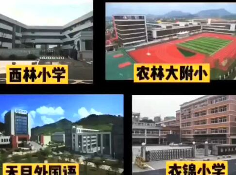 临安佳源锦晟里楼盘资料丨项目介绍信息特价房团购电话!官方网站