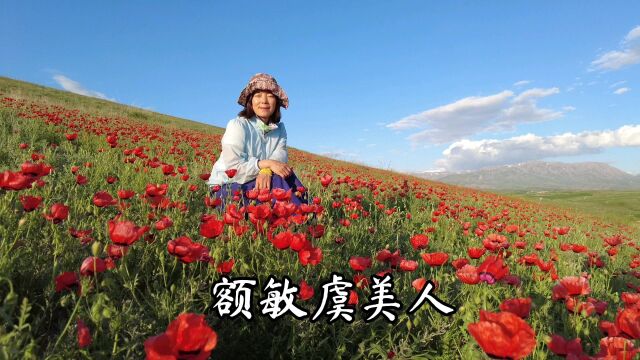 额敏天山红花|新疆塔城地区