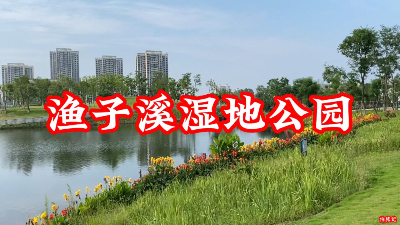 渔子溪湿地公园,一个很大的湖,风景太好了